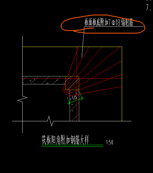 放射筋