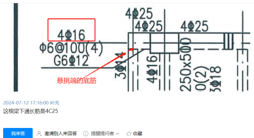通長筋