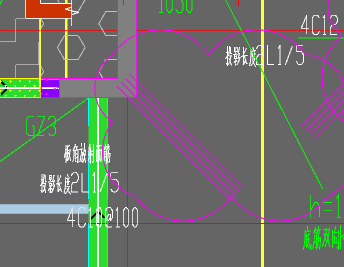 放射筋