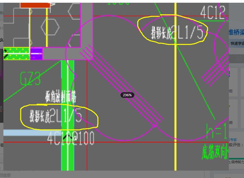 放射筋長度