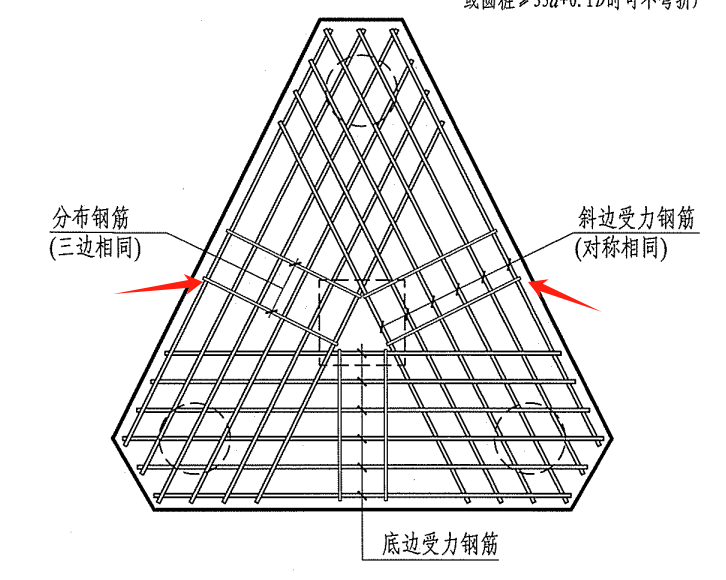 分布筋