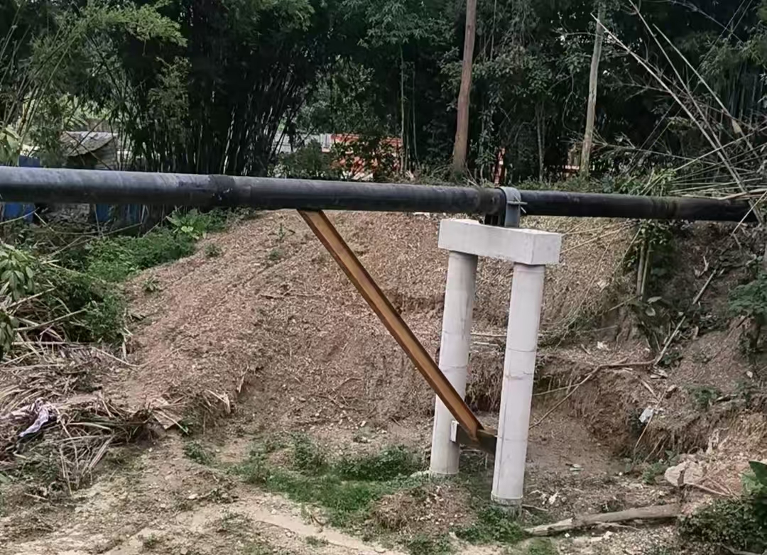 單子目