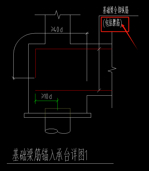 構(gòu)造筋