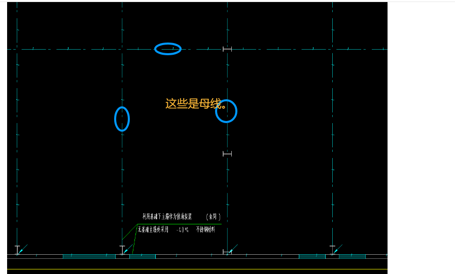 母線