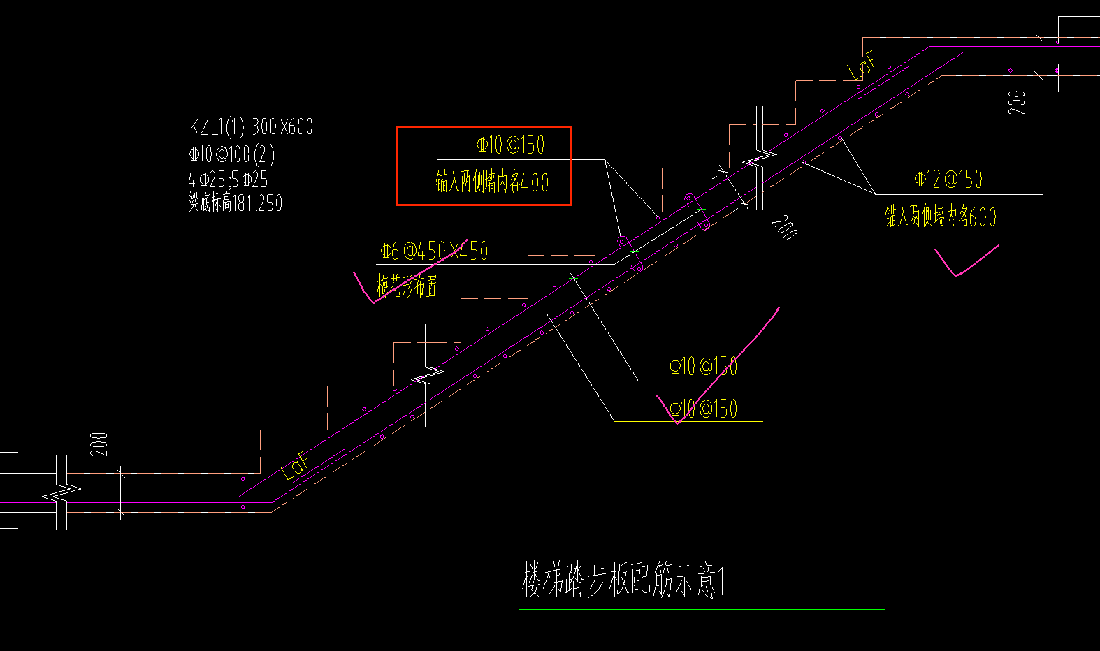 分布筋