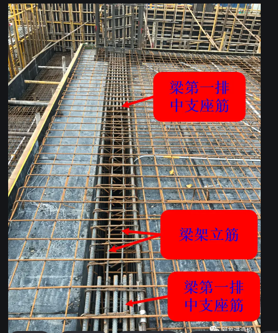 支座筋