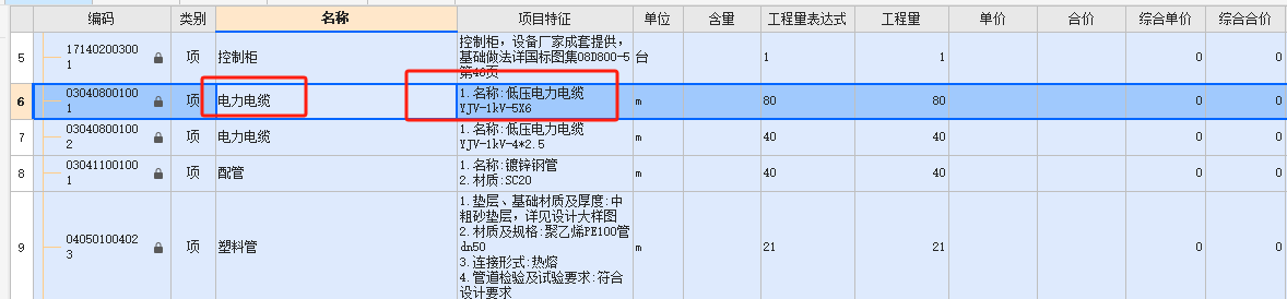 項目特征