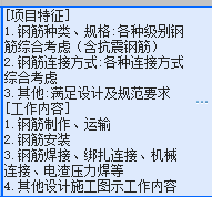 項目特征