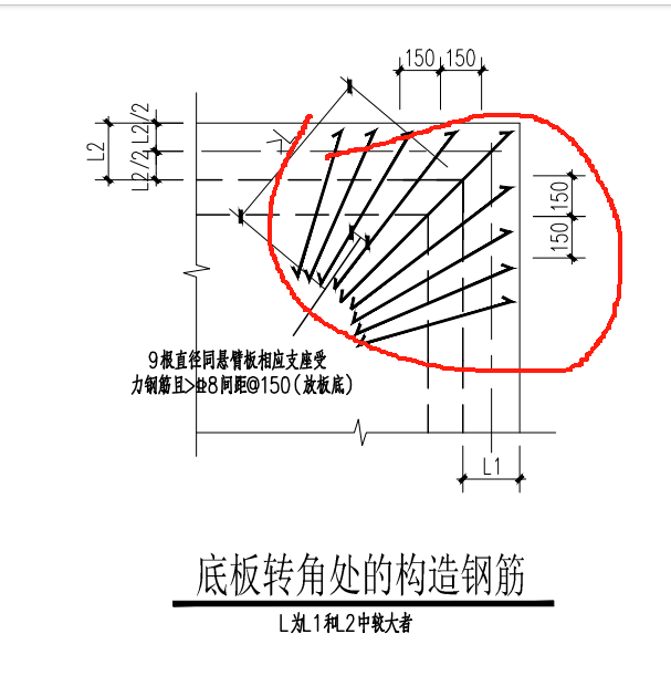 放射筋