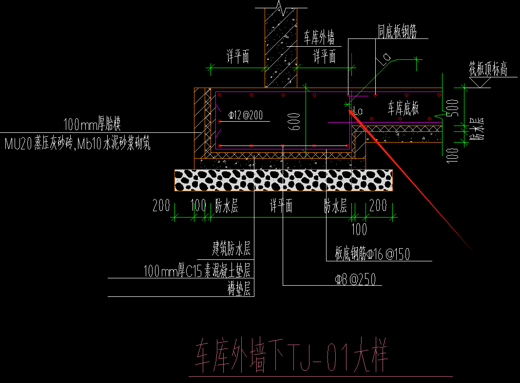 條基