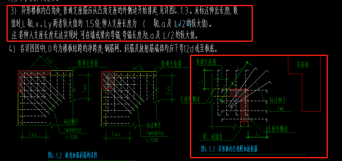 放射筋