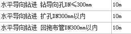項目特征