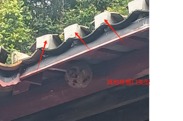 屋面