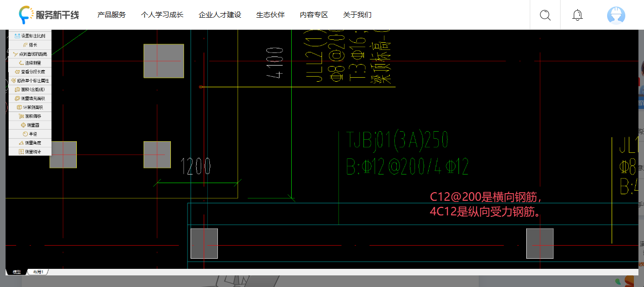 條基是什么