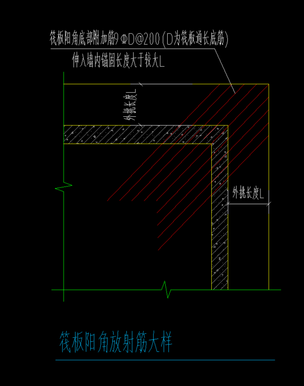 放射筋