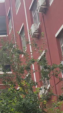 定額