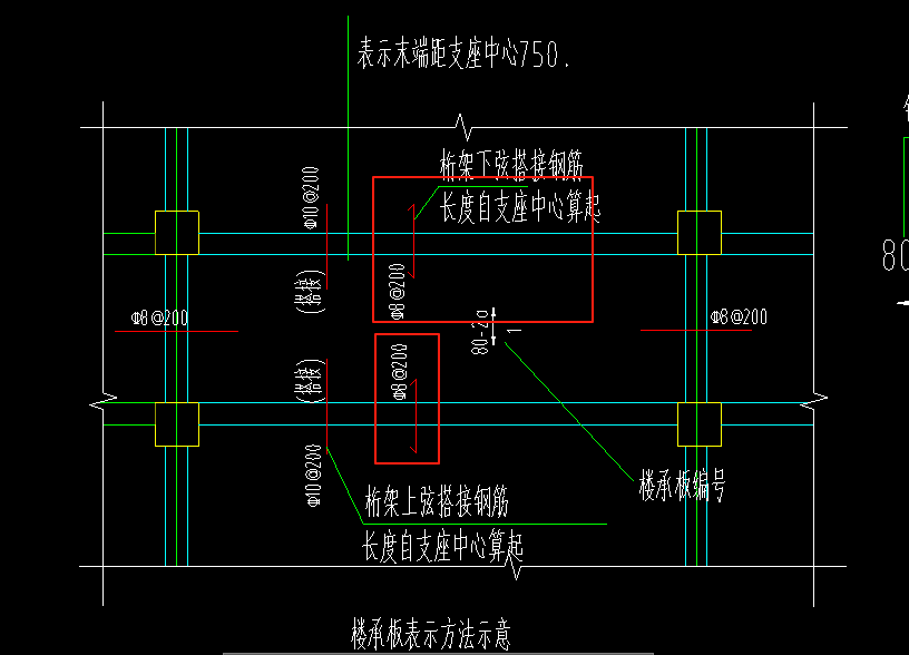 分布筋