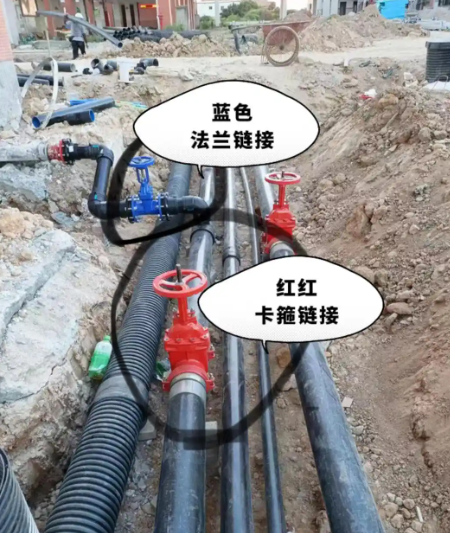 所屬的