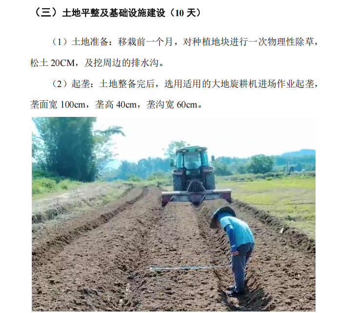 定額