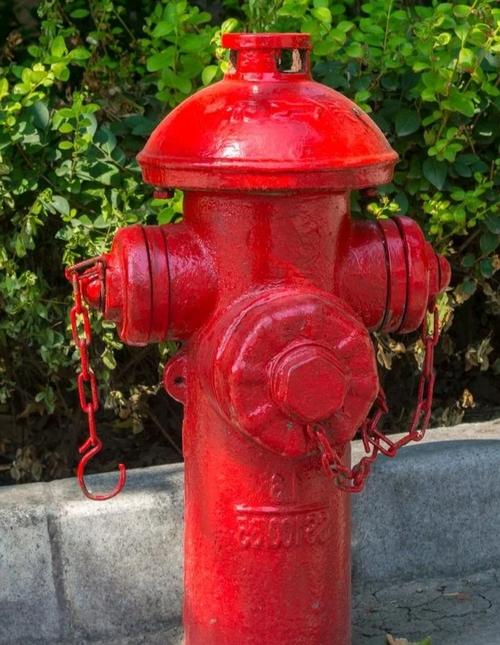 軟件應(yīng)用