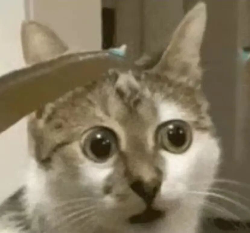 建筑行业专业资讯门户-新干线头条