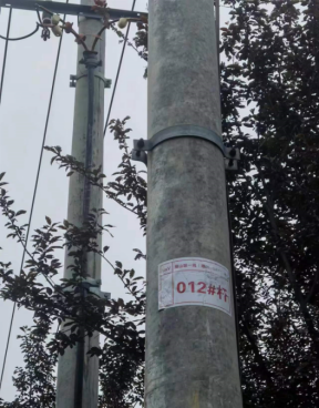 1773905103125084951.png 强电
