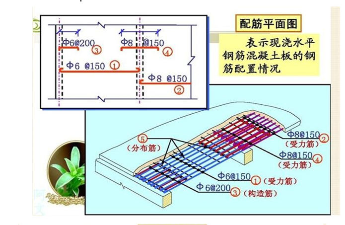 底筋和面筋的图解图片