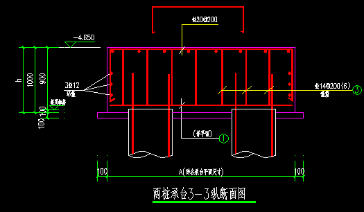 两桩承台集中标注图解图片