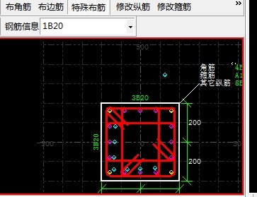 柱怎么布置双层钢筋