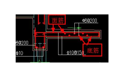 底筋和面筋的图解图片