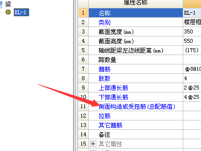 侧面构造或受扭筋可以在哪里集中设置?
