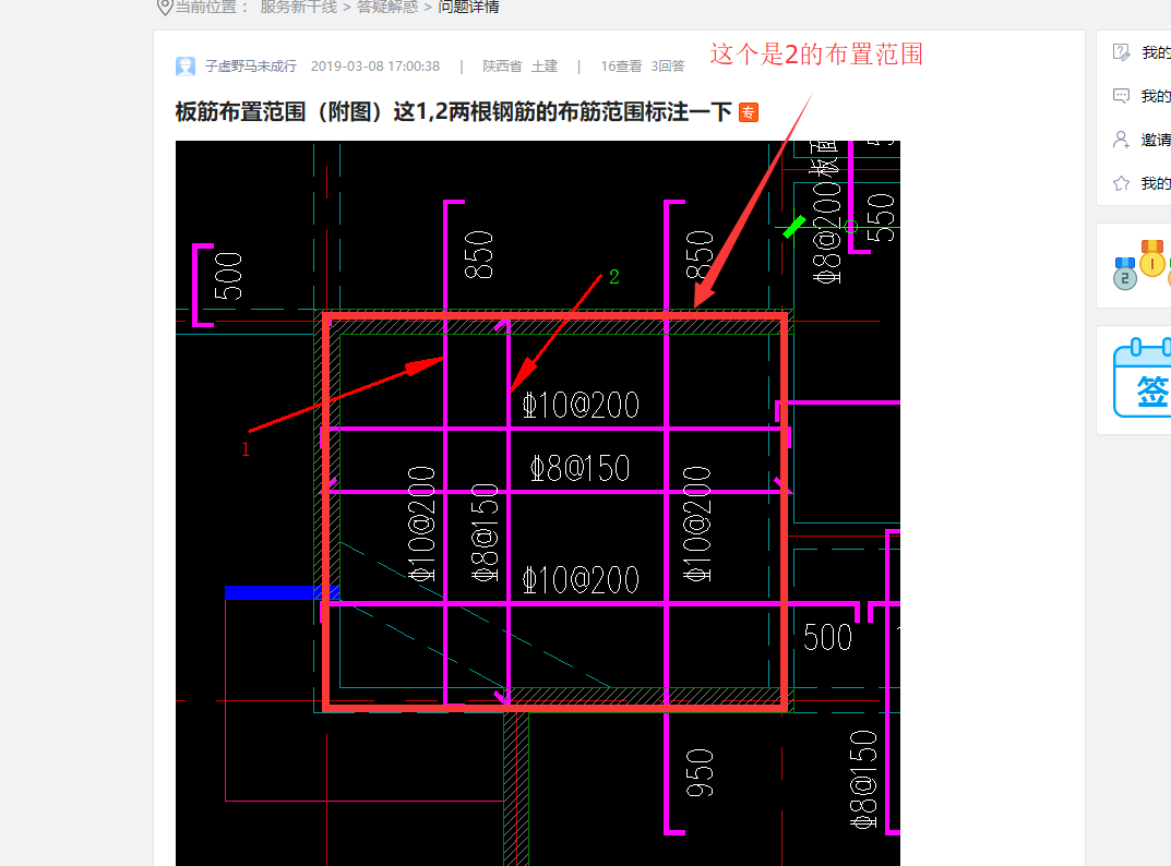 板筋