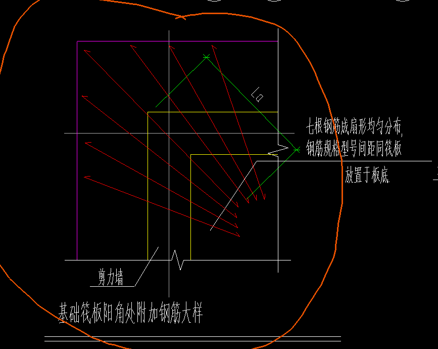 放射筋