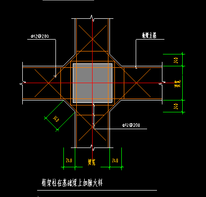 条基