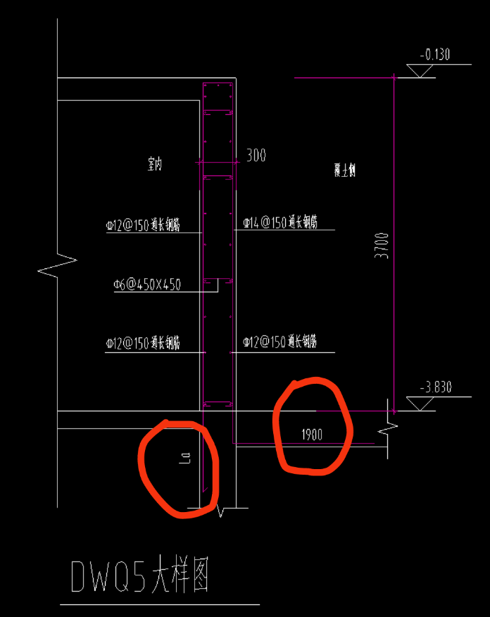 直筋