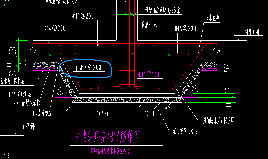 条基