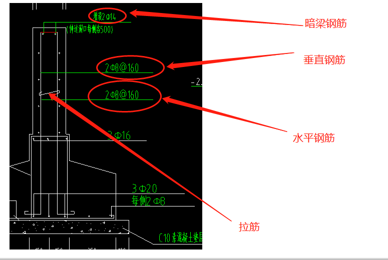 分布筋