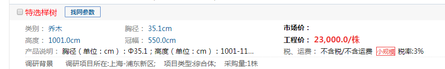 乔木