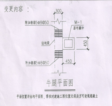 牛腿