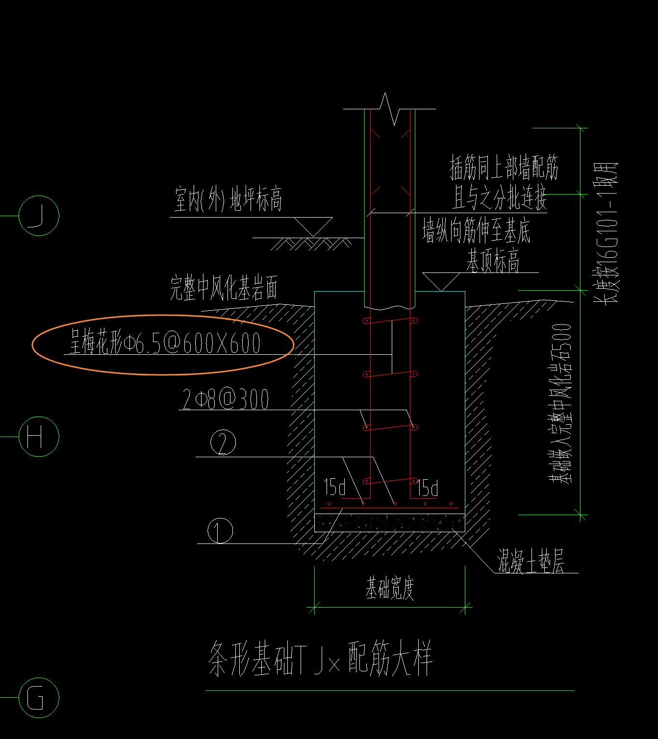 条基