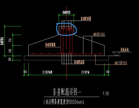 条基