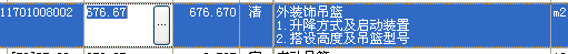 项目特征