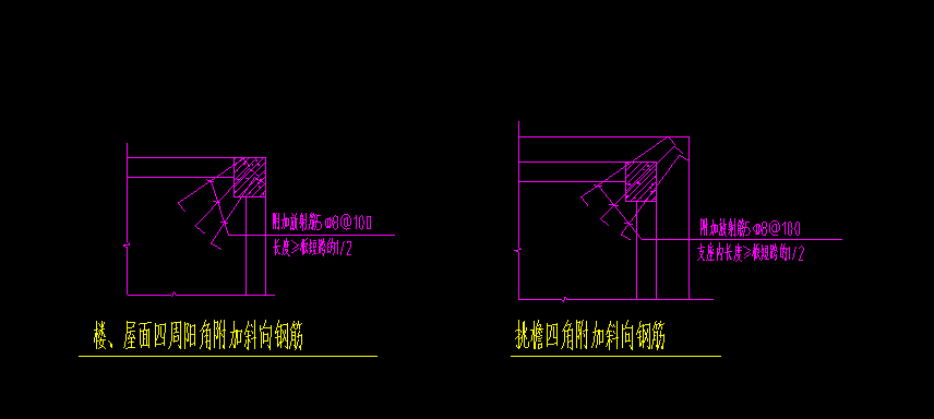 放射筋