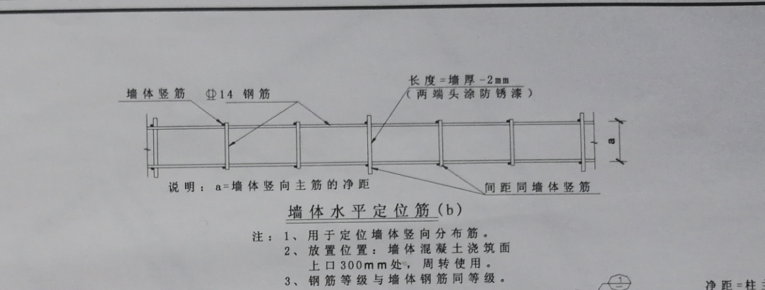 水平定位筋