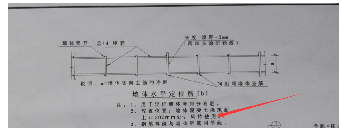 措施筋