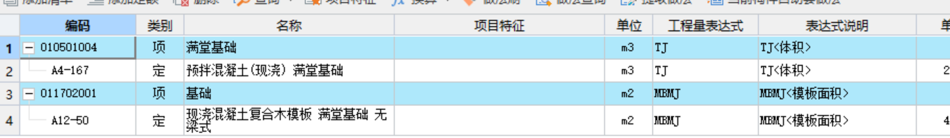项目特征