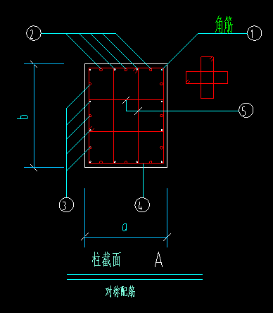 箍筋