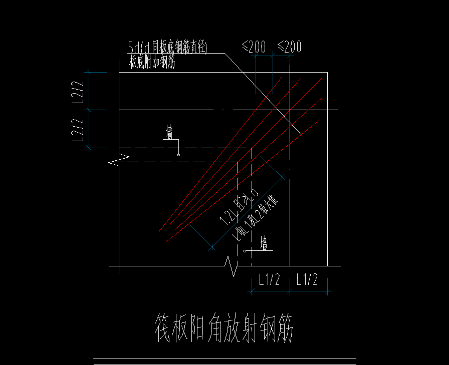 放射筋