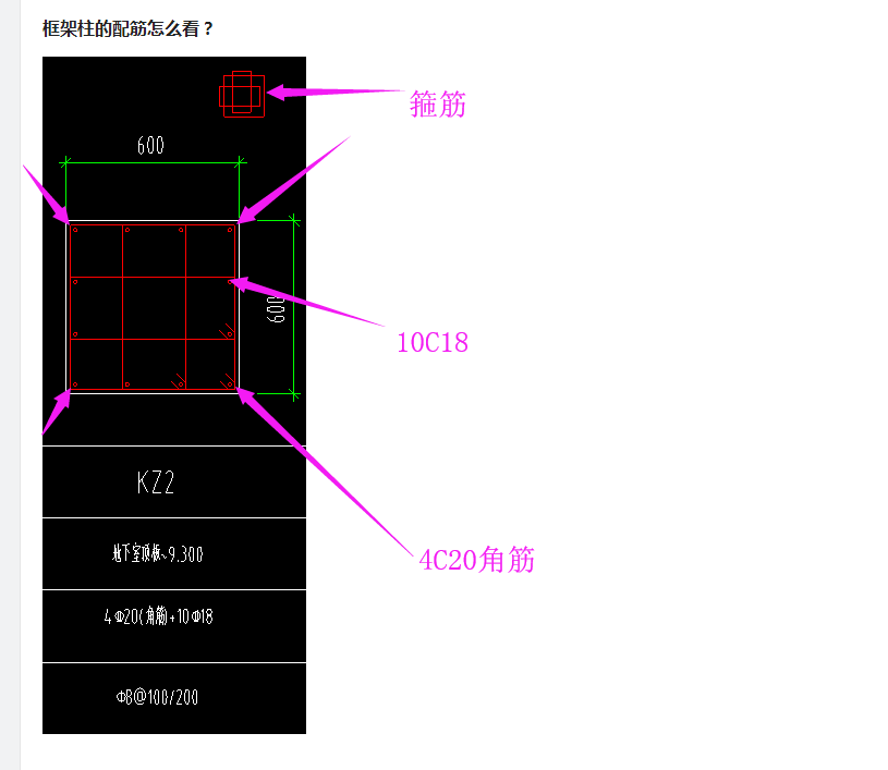 配筋怎么看