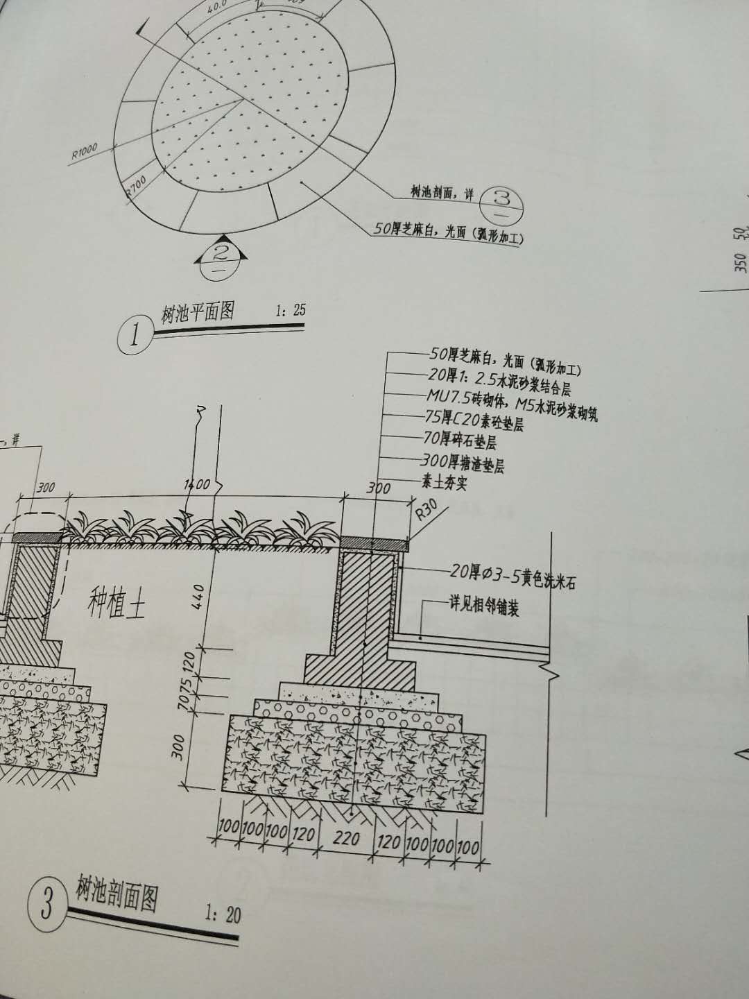 树池